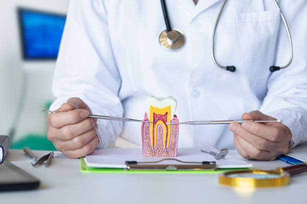 Best Orthodontic Emergency Dentist in Miamisburg, OH